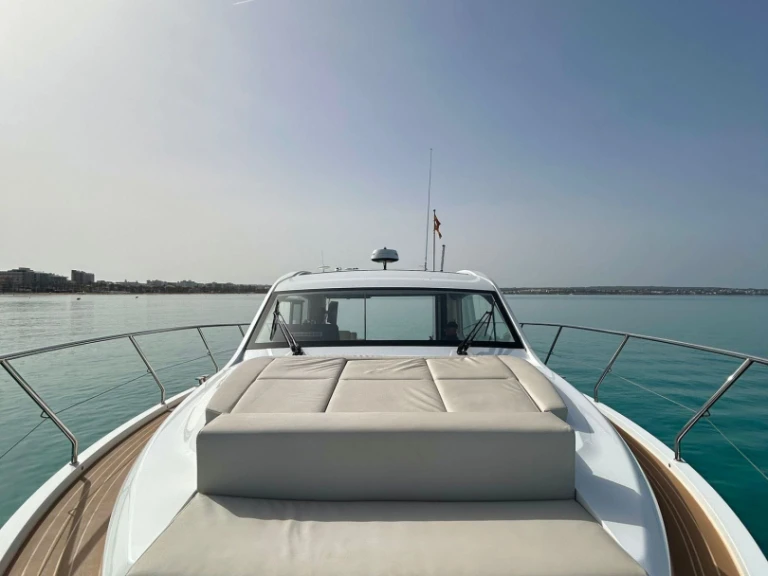 Boat rental Sealine Sealine C 39 in Palma de Mallorca on Samboat