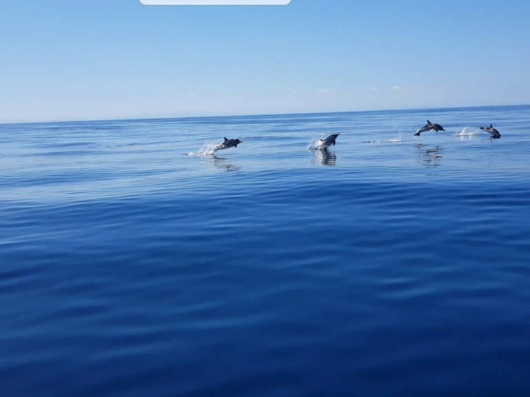 Jeanneau Merry Fisher 925 Fly in Anglet on SamBoat