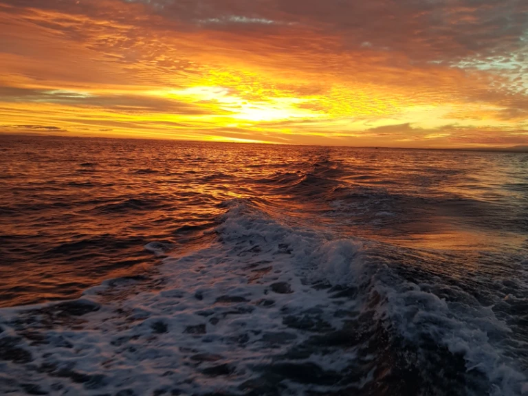 Rent a Jeanneau Merry Fisher 925 Fly Anglet