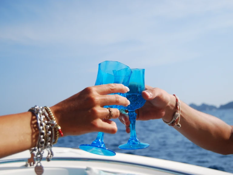 Pursuit 25.70 in Rapallo on SamBoat