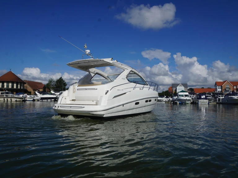 Motorboat rental with or without captain Sealine Cannes