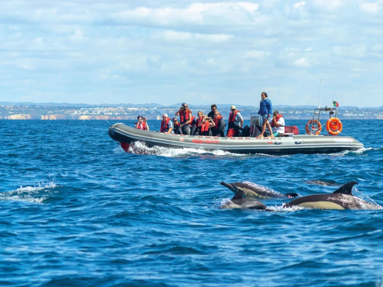 RIB for rent Lagos at the best price