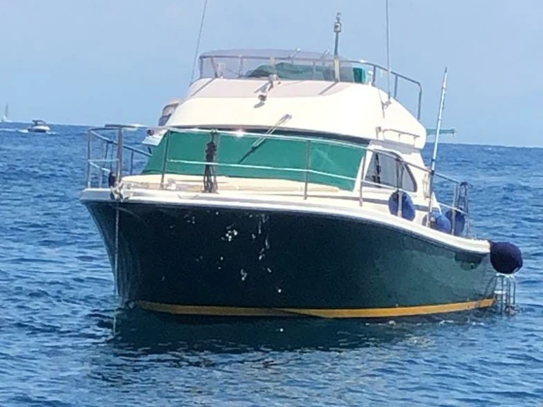 Boat rental Cayman 30 Fly Fisherman in Naples on Samboat