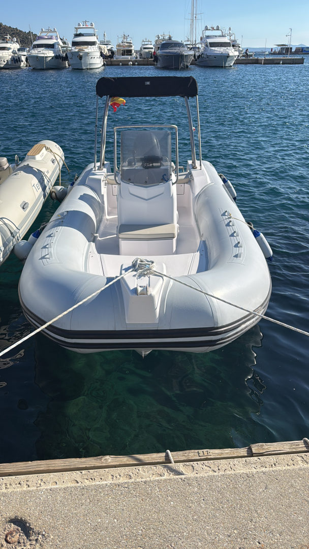 Rent a Capelli F130LA Roses