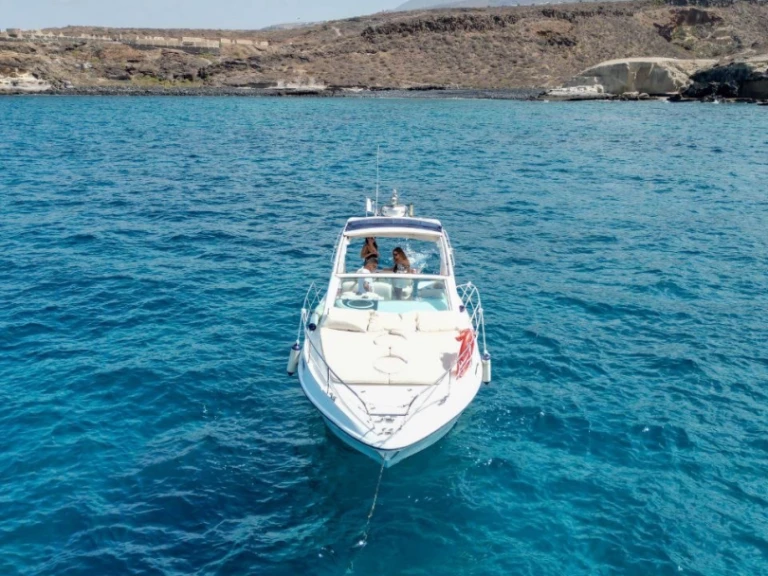 Motorboat rental with or without captain  Adeje