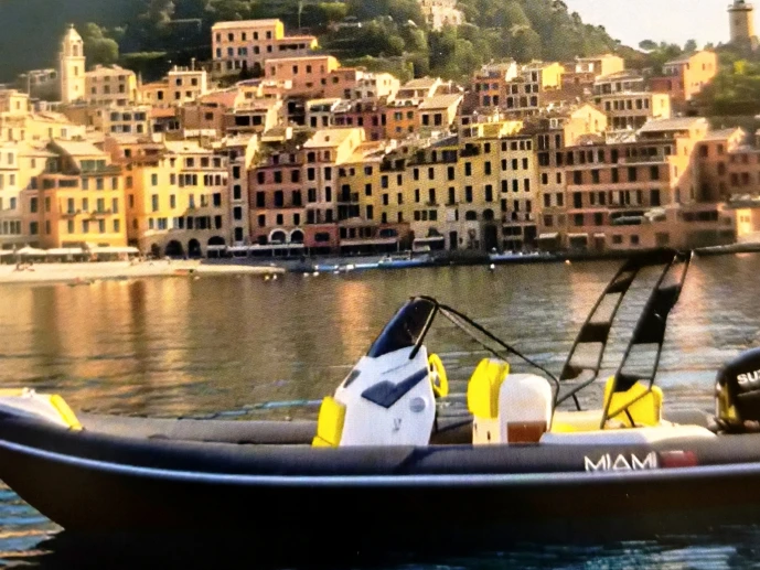 Rent a bluerib Miami23 Chiavari