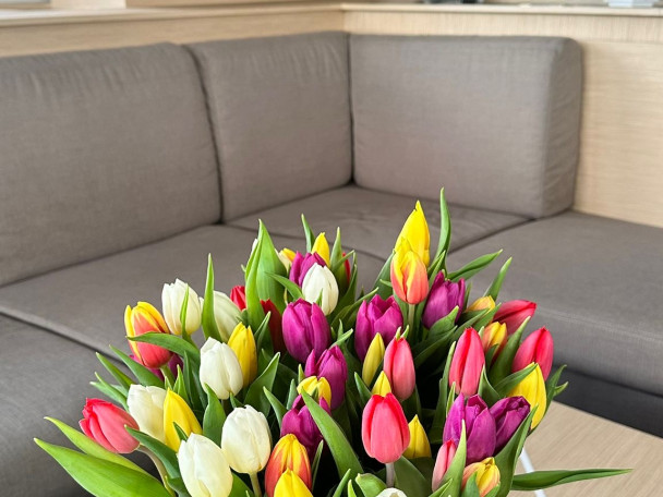 Boat rental Fountaine Pajot Fountaine Pajot Samana 59 - 6 + 2 cab in Procida on Samboat