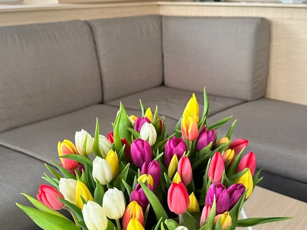 Boat rental Fountaine Pajot Fountaine Pajot Samana 59 - 6 + 2 cab in Procida on Samboat