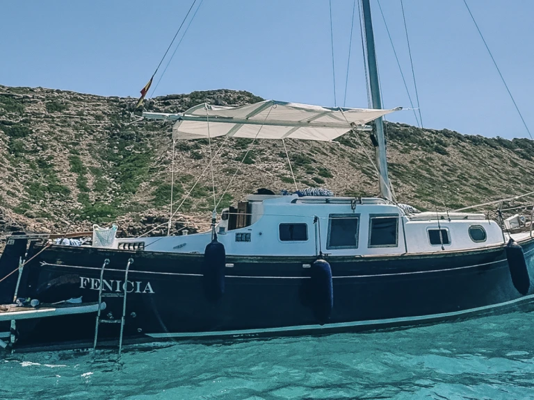 Rent a Myabca delfin 28 Palma de Mallorca