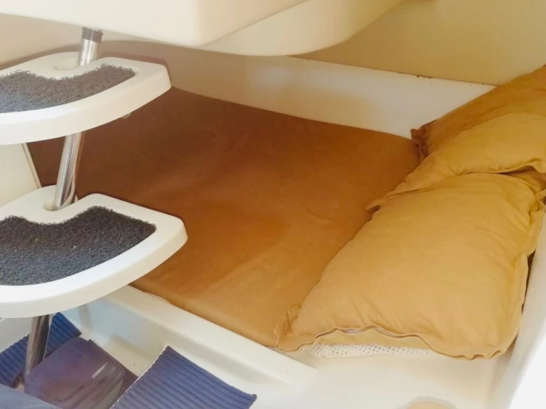 Salpa laver 20.5 charter bareboat or captained in  Mandelieu-la-Napoule