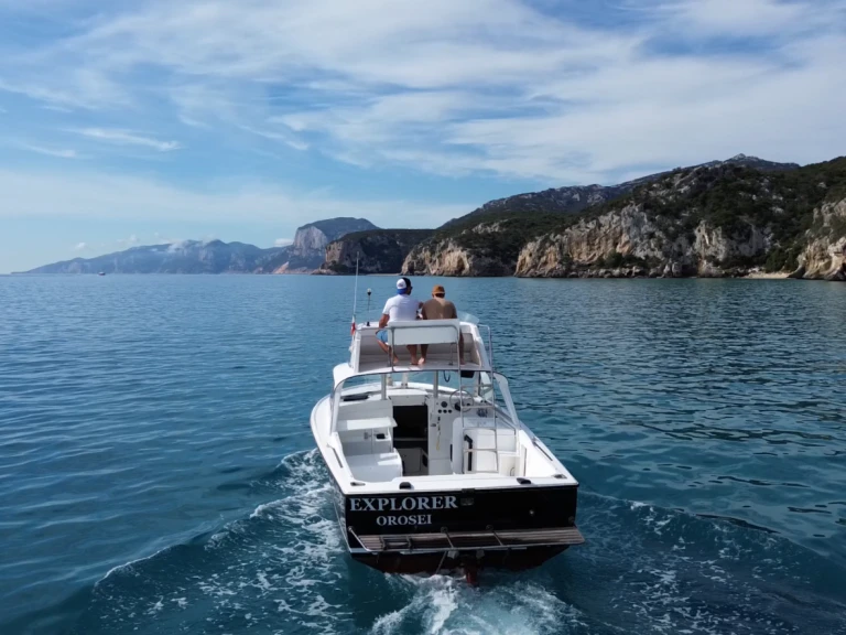 Bareboat Rental Motorboat Bertram with a boat licence