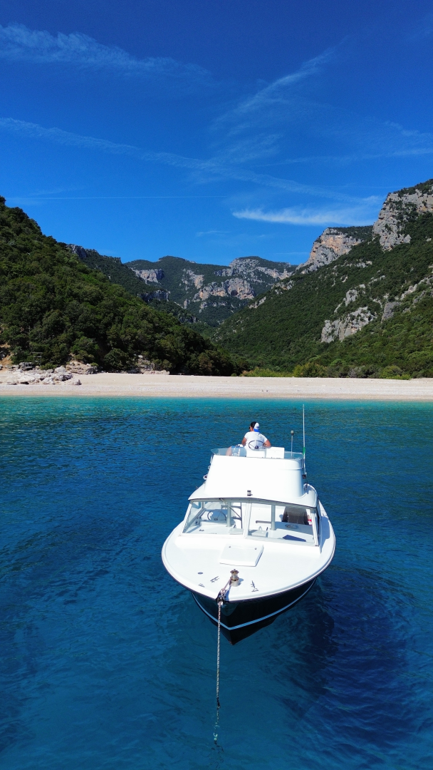 Bertram Bertram 25 charter bareboat or captained in  Orosei