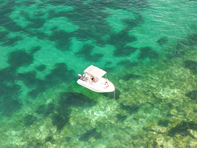 Motorboat rental in Mandelieu-la-Napoule - Pacific Craft Pacific Craft 545 Open