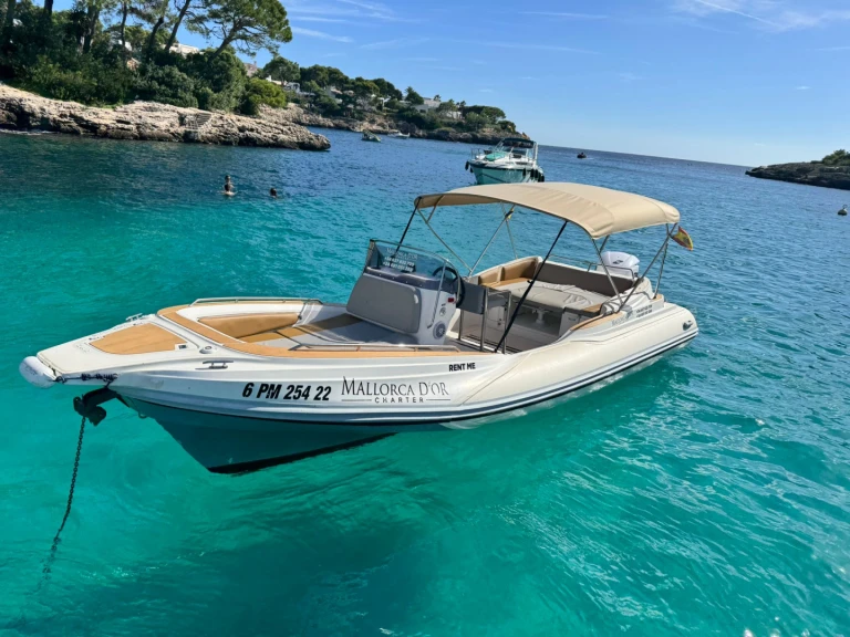 RIB for rent Cala d'Or at the best price