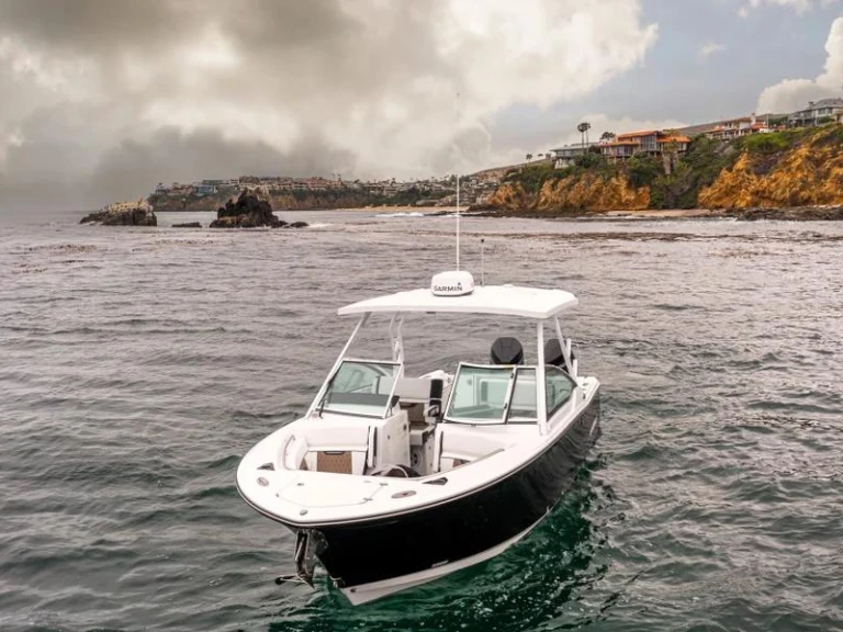 Boat rental Blackfin 272 DC  in West Palm Beach on Samboat