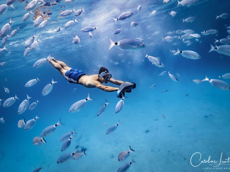 Lomac Lomac 540 IN in Porto-Vecchio on SamBoat