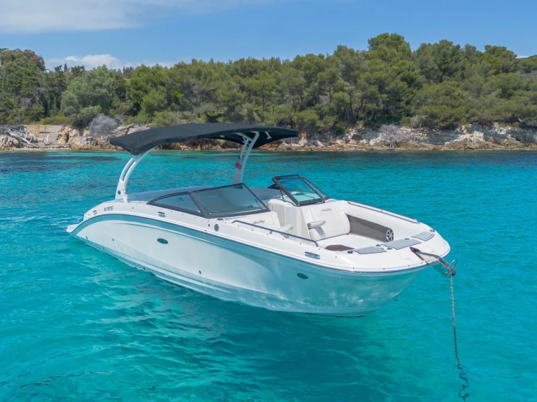 Motorboat rental with or without captain Sea Ray Cannes