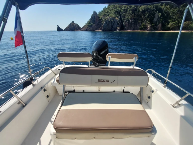 Bareboat Rental Motorboat Boston Whaler with a boat licence