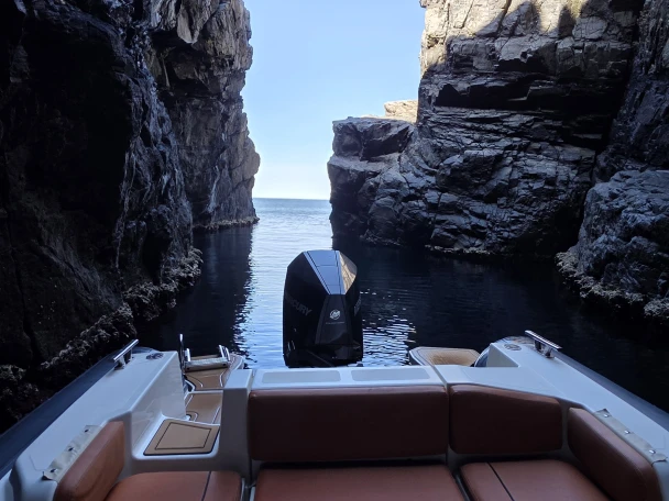 RIB rental in Porto di Stintino - Marlin Boat Marlin Boat 850 HD PRO 