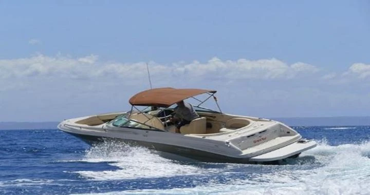 Sea Ray Sea Ray 260 charter bareboat or captained in  Santa Ponsa