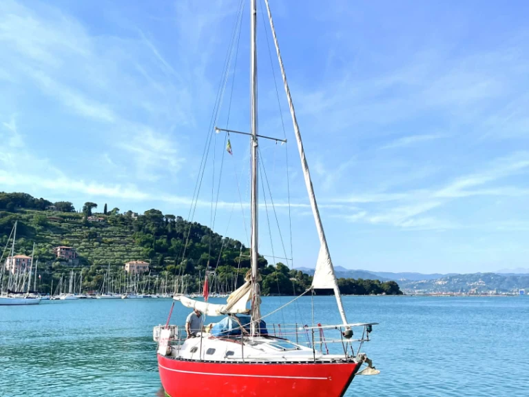 Sailboat rental with or without captain Cobra Lerici