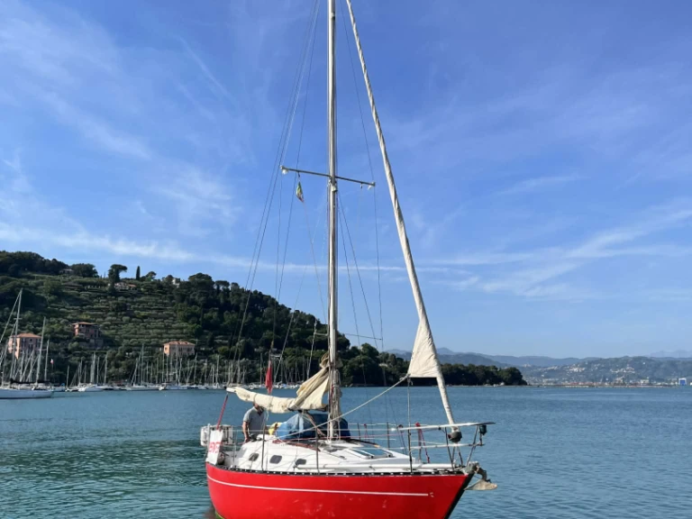 Bareboat Rental Sailboat Cobra with a boat licence