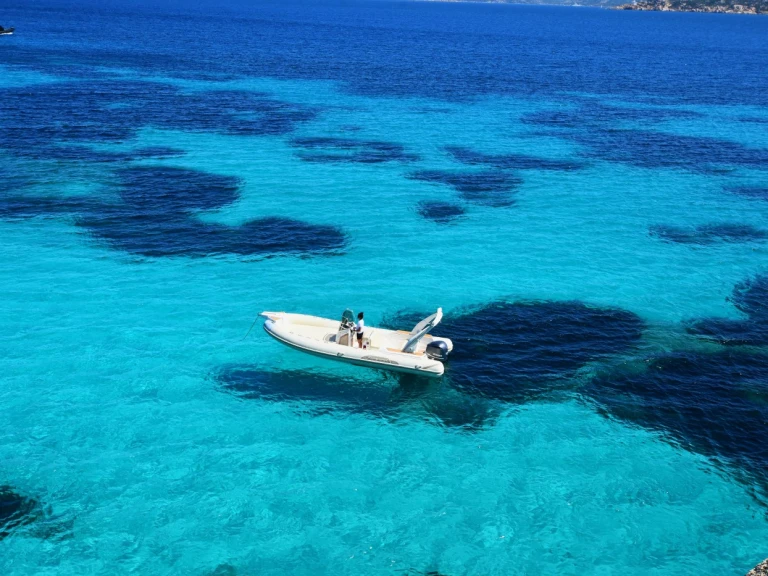 RIB rental in Palau - Capelli Tempest 770