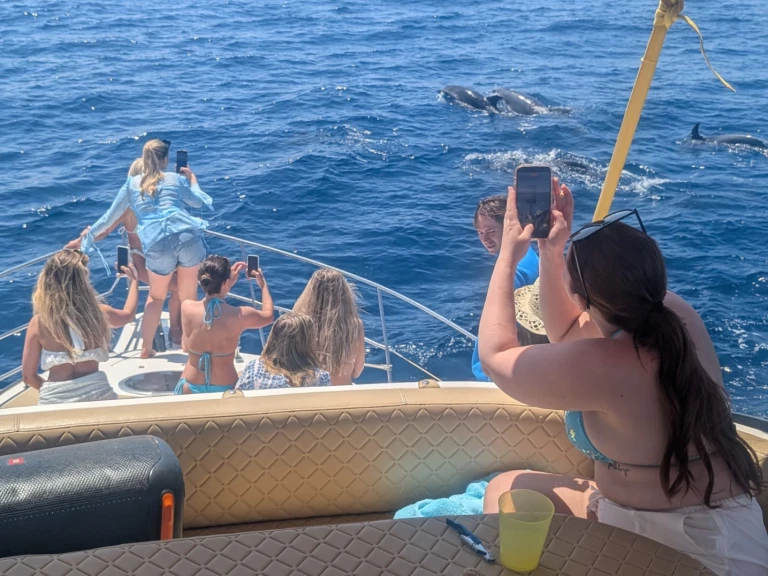 Doqueve Majestic charter bareboat or captained in  Fuengirola