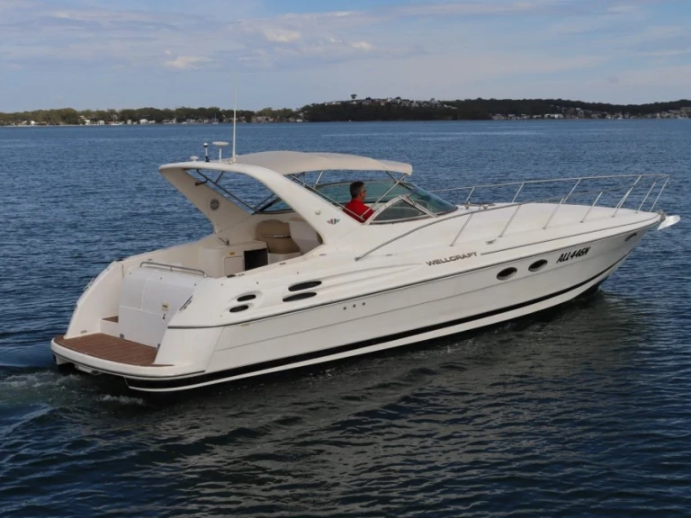 Motorboat rental with or without captain Wellcraft Le Barcarès