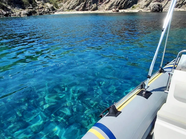 Bareboat Rental RIB Narwhal with a boat licence