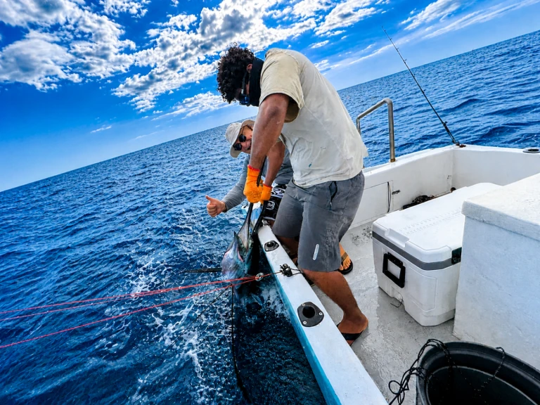 Motorboat rental with or without captain Custom Made Bahía Culebra