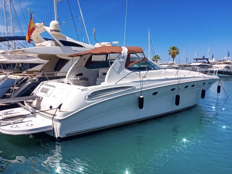 Motorboat rental with or without captain Sea Ray Port de Pollença