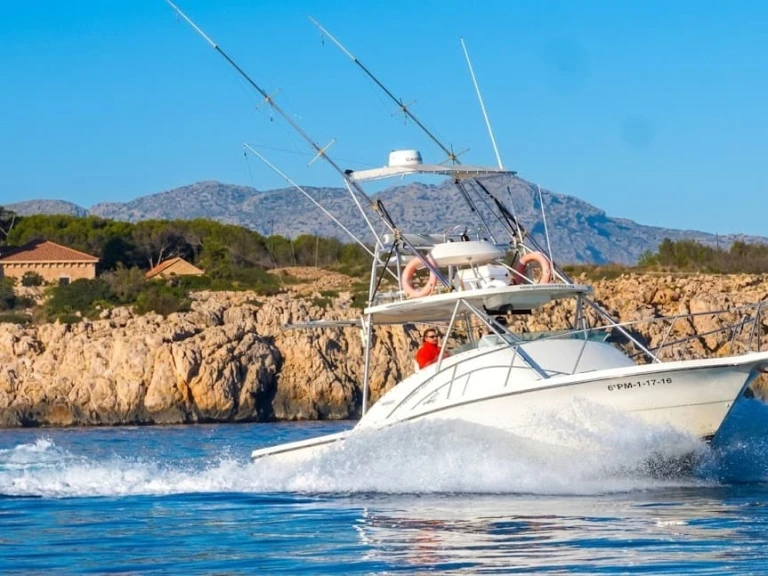 Motorboat for rent Port de Pollença at the best price