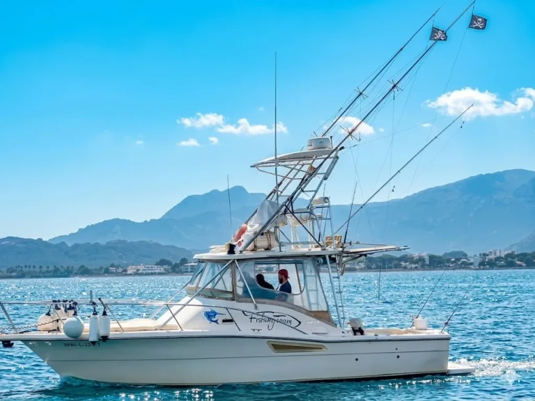 Yacht charter Port de Pollença cheap 3100 open