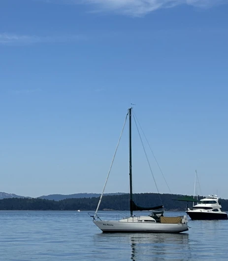 Boat rental Albin 79 Quarter Ton class in Sidney on Samboat
