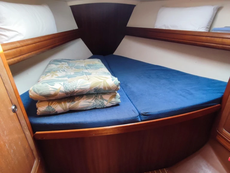 Bavaria Bavaria 37 Cruiser in Puerto Altea on SamBoat