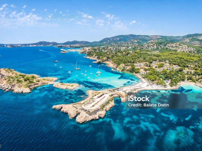 Four Winns H 260 charter bareboat or captained in  Palma de Mallorca