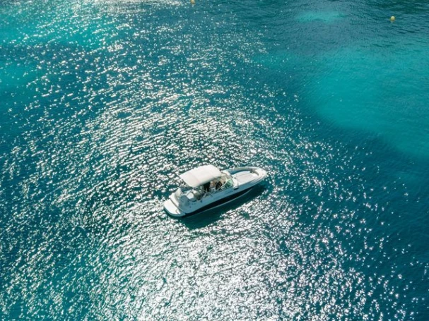 Sea Ray Sea Ray 240 Sundeck charter bareboat or captained in  Santa Ponsa