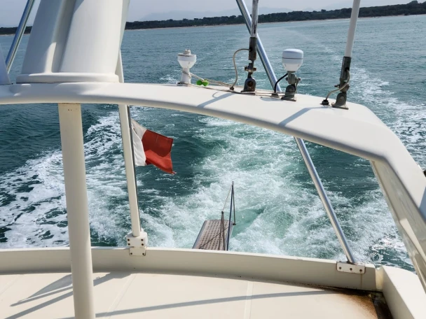 Ferretti Ferretti 60 in Pisa on SamBoat