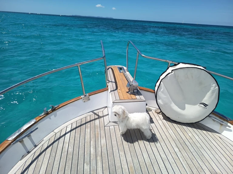 Motorboat rental with or without captain Majoni Colònia de Sant Jordi