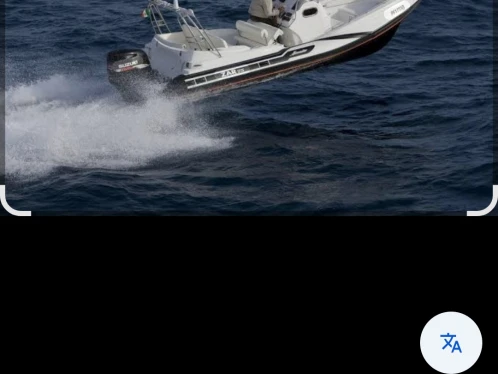 RIB for rent Partinello at the best price