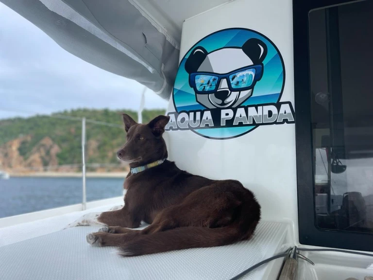 Catamaran rental in Tortola - Fountaine Pajot Lucia 40