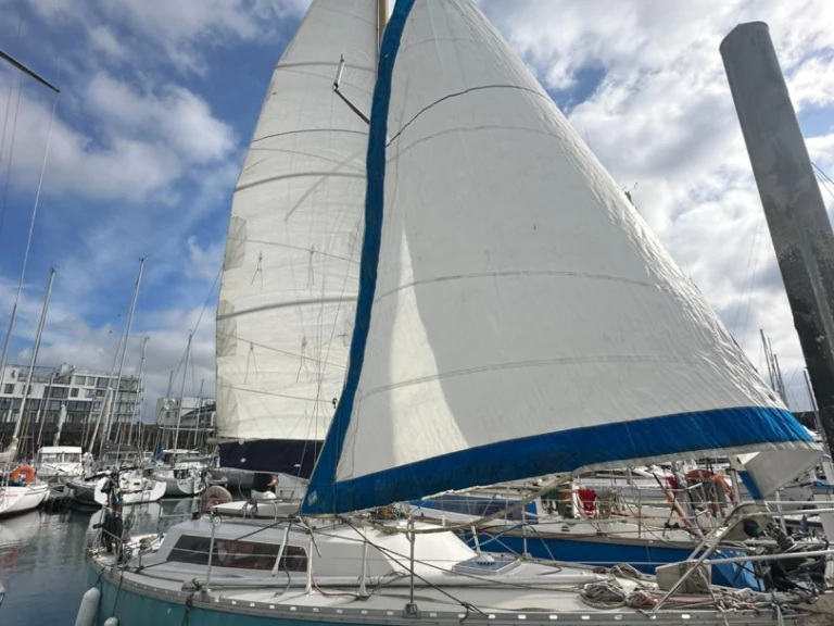 Boat rental Jeanneau Brin de folie in Brest on Samboat