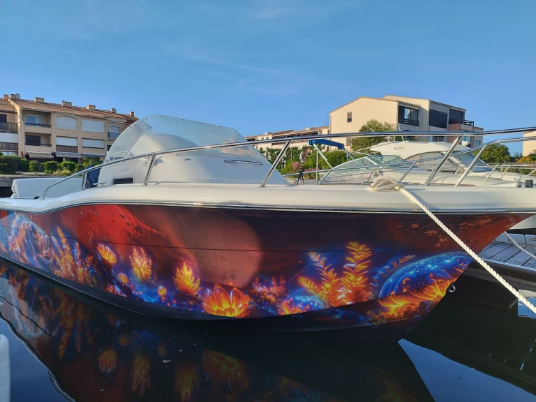 Rent a White Shark White Shark 248 Saint-Cyprien