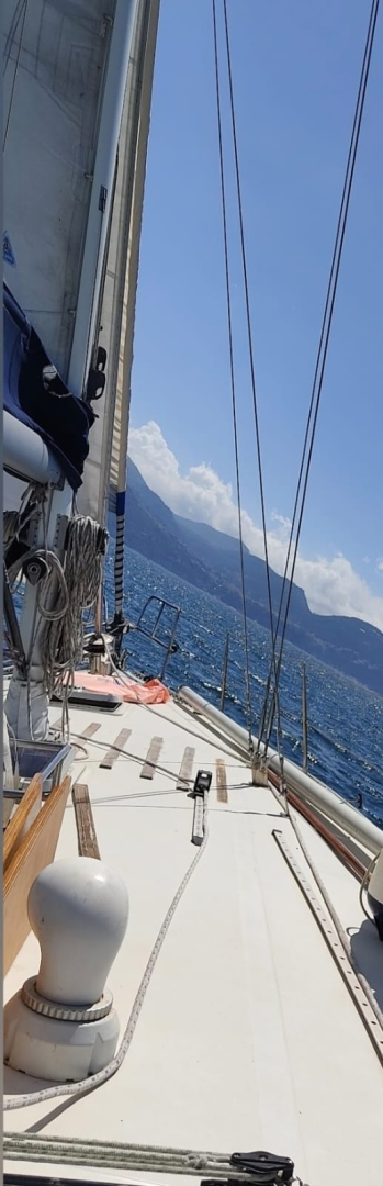 Yacht charter Porto di Torre del Greco cheap orca 43