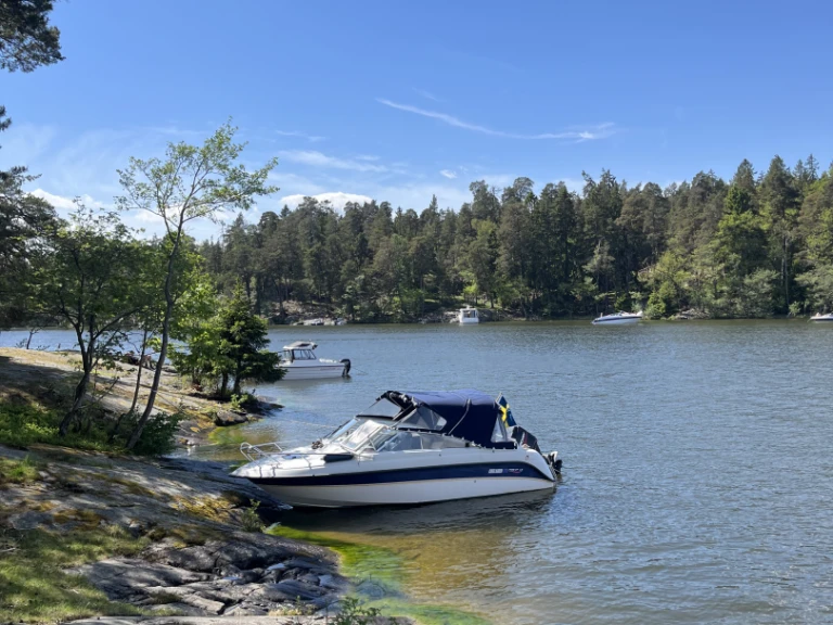 Boat rental Askeladden 585 Freestyle in Stockholm on Samboat