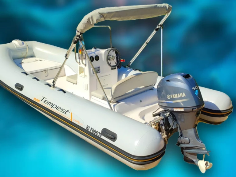 RIB for rent Galéria at the best price