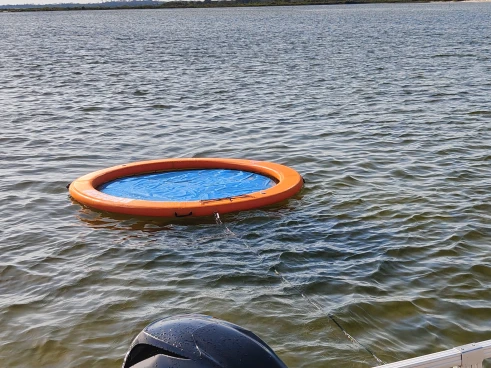 Sun Tracker Bass Buggy 18 charter bareboat or captained in  Sanguinet