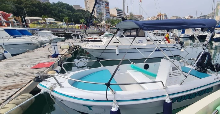 Boat rental Quicksilver Activ 455 Open in Alicante on Samboat