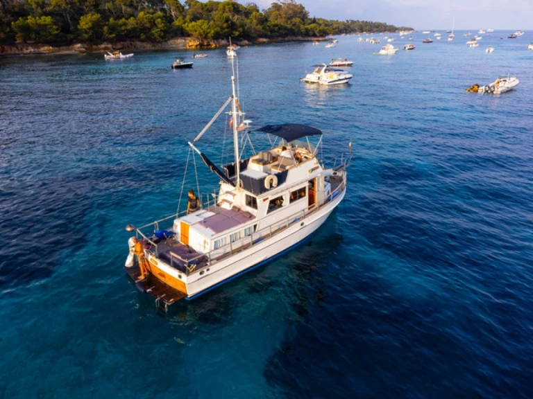 Motorboat rental in Cannes - Grand Banks Grand Banks 36 Classic